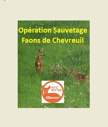 Opération Sauvetage des Faons de Chevreuil