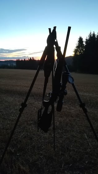 Mieux connaitre la chasse à l’approche