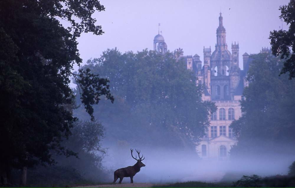 Association Nationale des Chasseurs de Grand Gibier